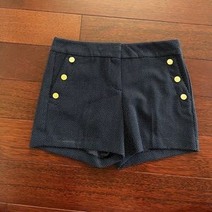 Navy and white Polla Dot Shorts - Ann Taylor